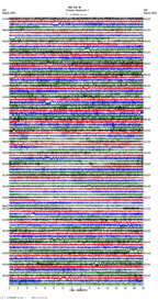 seismogram thumbnail