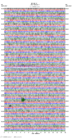 seismogram thumbnail