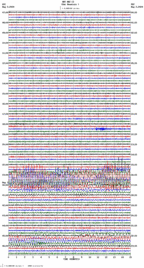 seismogram thumbnail