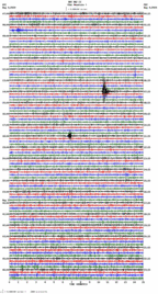 seismogram thumbnail