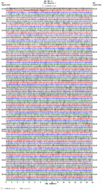 seismogram thumbnail