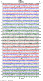 seismogram thumbnail