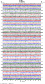 seismogram thumbnail