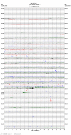 seismogram thumbnail