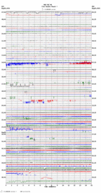 seismogram thumbnail