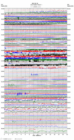 seismogram thumbnail