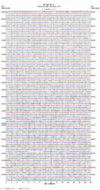 seismogram thumbnail