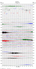 seismogram thumbnail