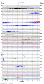 seismogram thumbnail