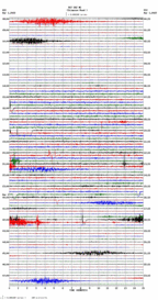 seismogram thumbnail