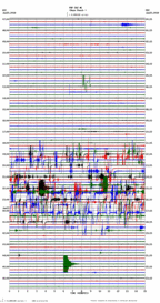 seismogram thumbnail