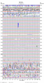 seismogram thumbnail