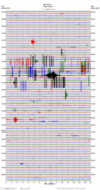 seismogram thumbnail