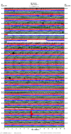 seismogram thumbnail