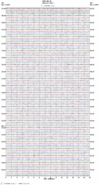 seismogram thumbnail