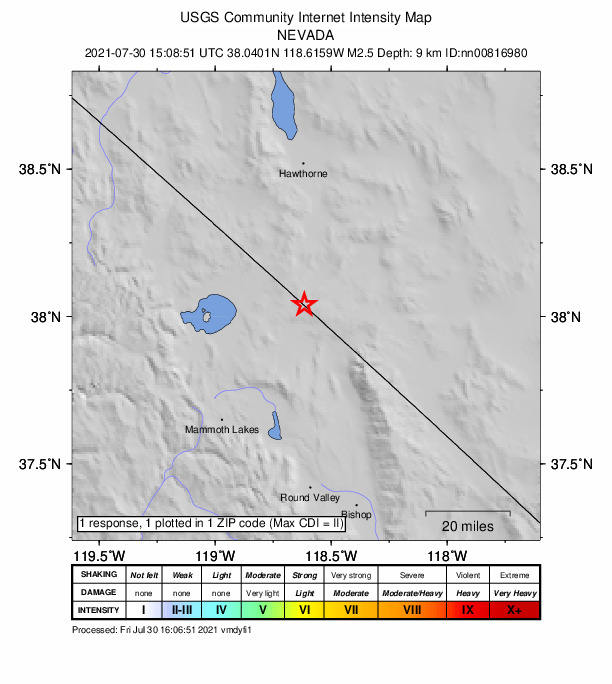 Did You Feel It? map: shaking reported by the public