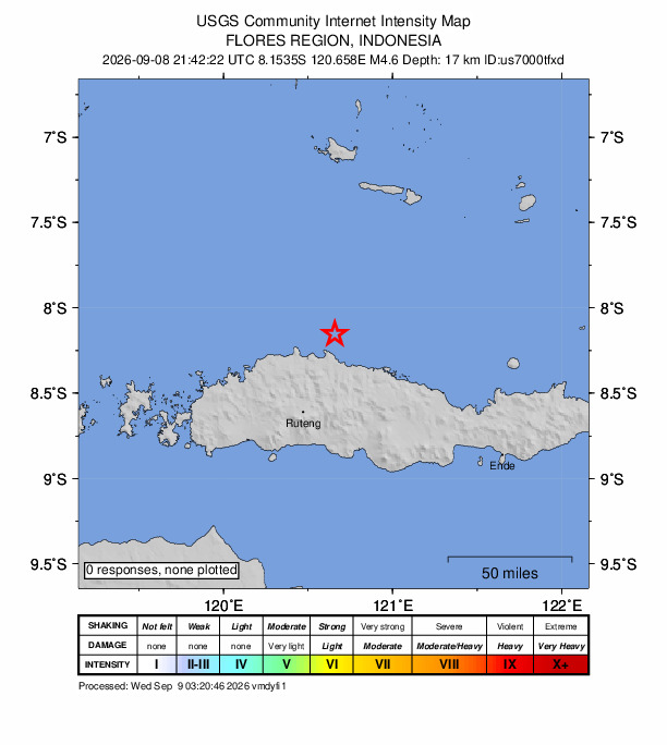 USGS DYFI community-reported intensity map for the M4.6 earthquake near 47 km N of Ruteng, Indonesia