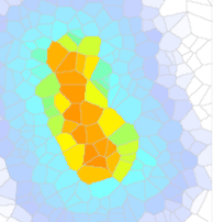 Shakemap
